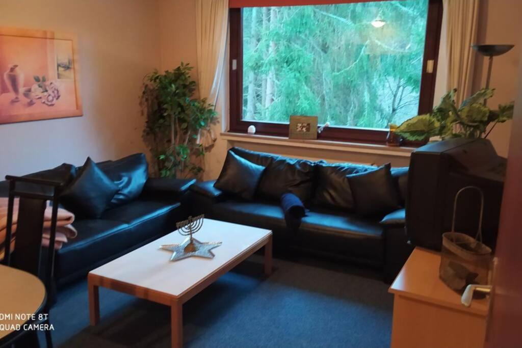 Ferienhaus Haus Waldlounge mit Kamin